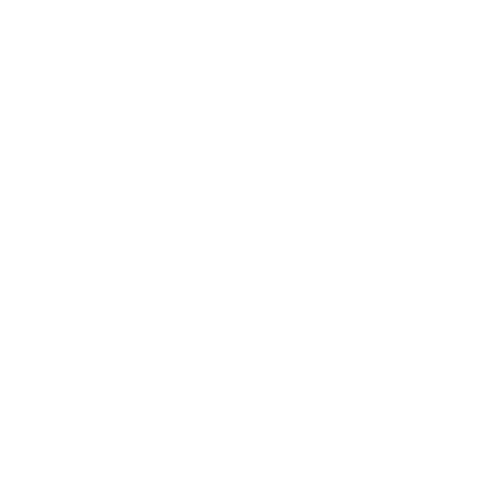 Atelier Cric Automata